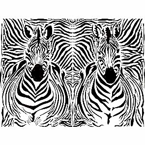 Zebra Çizgileri