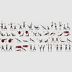 Pilates Hareketleri