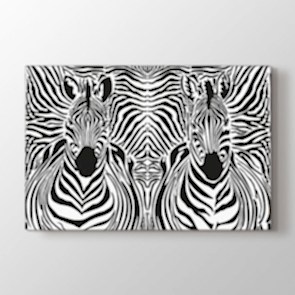 Zebra Çizgileri - Siyah Beyaz Resimli Tablo Modeli