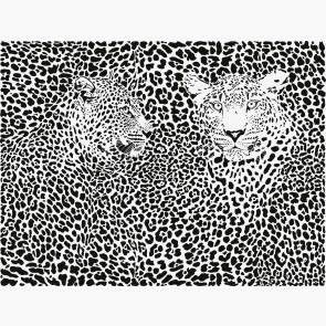 Leopar Deseni