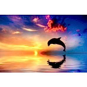 Flipper